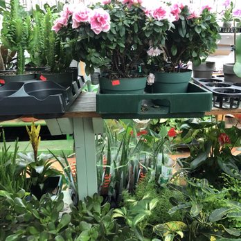 Broadview Flower Market - Florists Near Me - Toronto, Ontario Broadview Flower Market - Florists Near Me - Toronto, Ontario