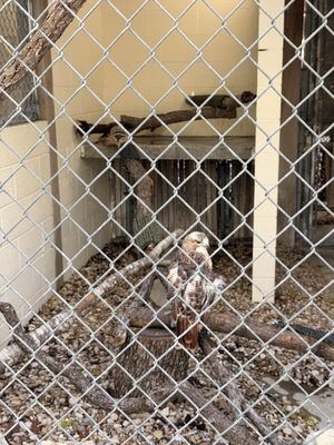 Austin Nature & Science Center