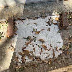 Dawson Foundation Repair - Concrete patch