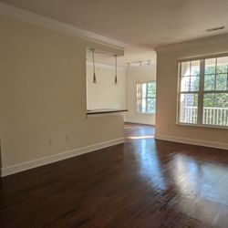 Shine On Boston - Spotless move-out clean! I couldn't find a speck of dust anywhere.