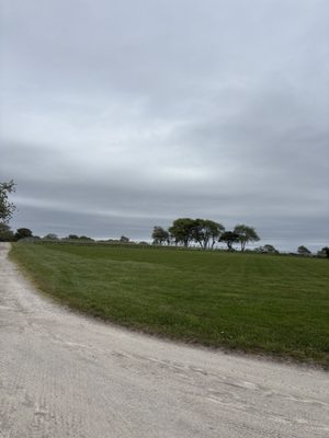 Sakonnet Vineyard by null