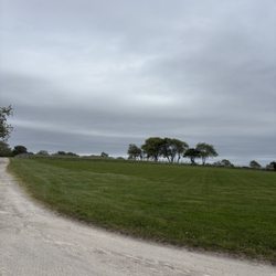 Sakonnet Vineyard - View