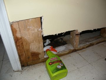 Slide of Services Squad