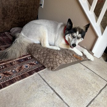 PetSmart - Pet Training Near Me - Mira Loma, California PetSmart - Pet Training Near Me - Mira Loma, California