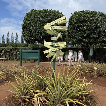 The Pineapple Exp - Bus Tours Near Me