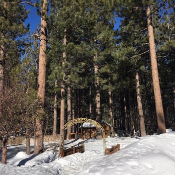 Alpenhorn Bed & Breakfast - The back garden on a snowy day - Big Bear Lake, CA
