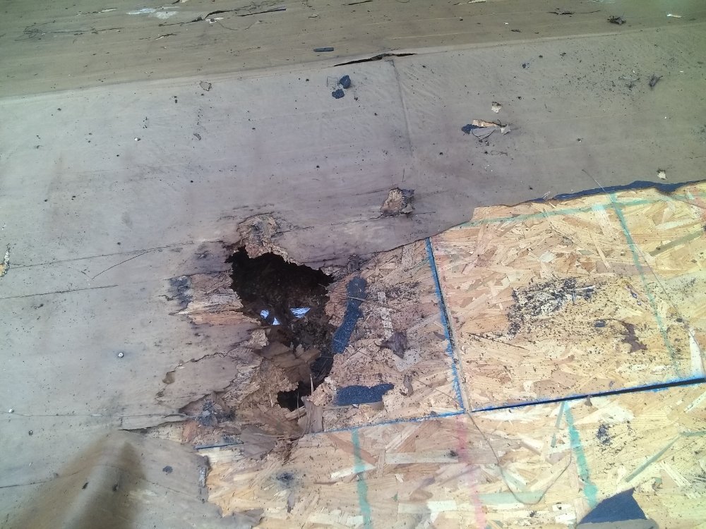 Slide of MV Roofing And Tree Services