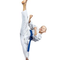 Metro Karate & Jiu Jitsu Academy - Improve Flexibility