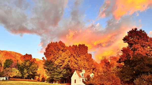 Riley's Farm by null