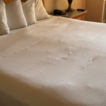 Harrah's Laughlin - A Caesars Rewards Destination - Now does that look like a comfy bed? - Hotels Near Me - Laughlin, Nevada