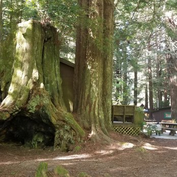 Emerald Forest Cabins & RV - Cabins are available - Campgrounds Near Me - Trinidad, California Emerald Forest Cabins & RV - Cabins are available - Campgrounds Near Me - Trinidad, California