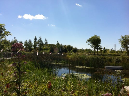 Corktown Common by null