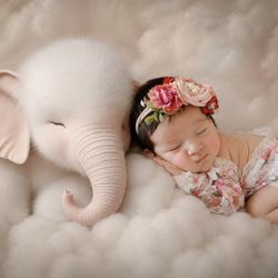 Faith Photography - Fairytale Newborn Session