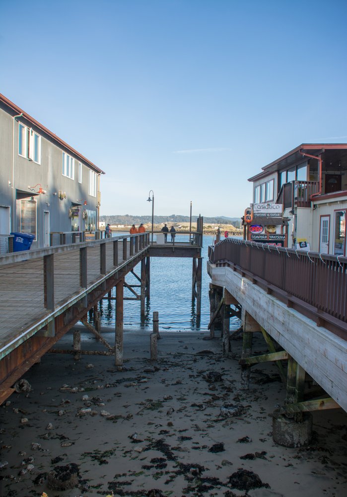 ONSITE AERIAL Request a Quote 12 Photos 327 Benton View Dr, Philomath, Oregon Real