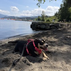 Bloedel Donovan Park