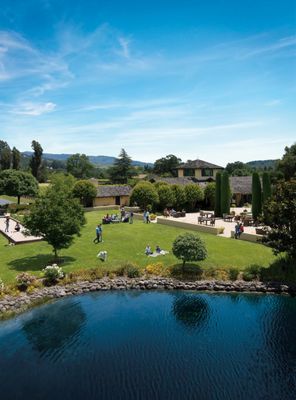 Landmark Vineyards by null