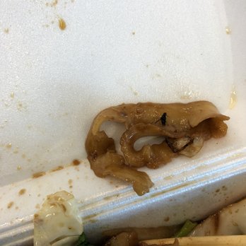 Peaceful Restaurant - This was my lunch...and yes that's a fly!!! - Chinese Near Me - Vancouver, British Columbia Peaceful Restaurant - This was my lunch...and yes that's a fly!!! - Chinese Near Me - Vancouver, British Columbia