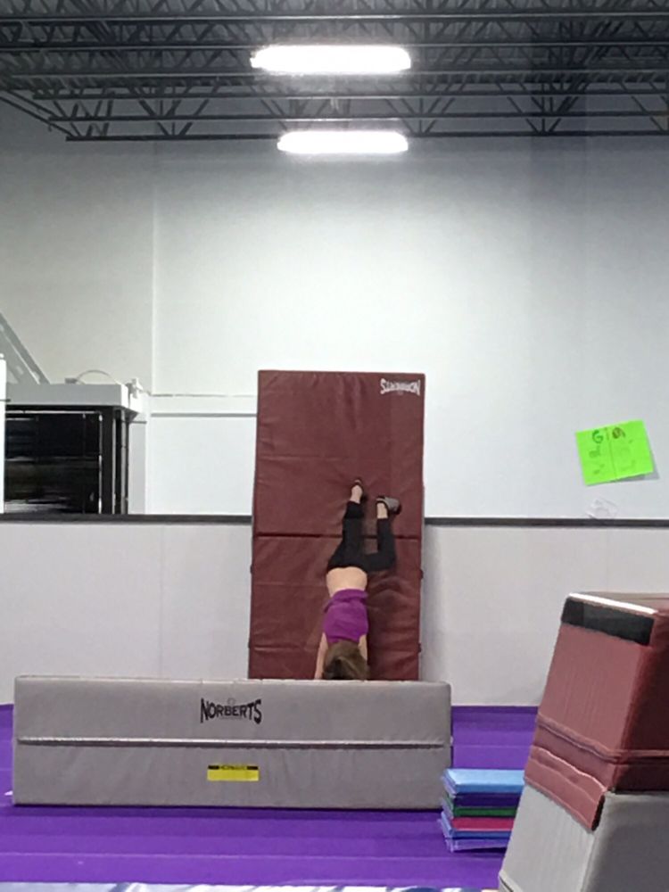 Badger Gymnastics Academy Logo