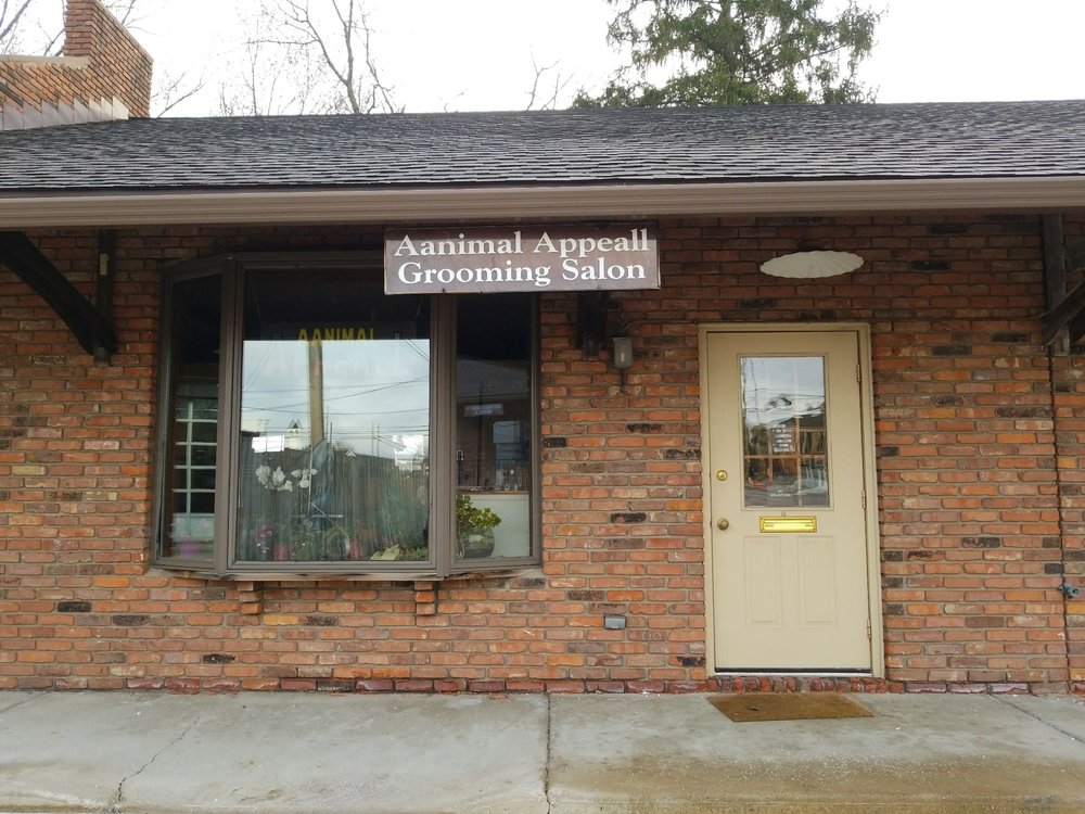 AANIMAL APPEALL Updated September 2024 754 N Court St, Medina, Ohio