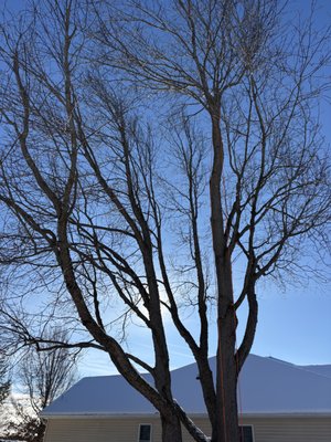 Northwoods Tree Care