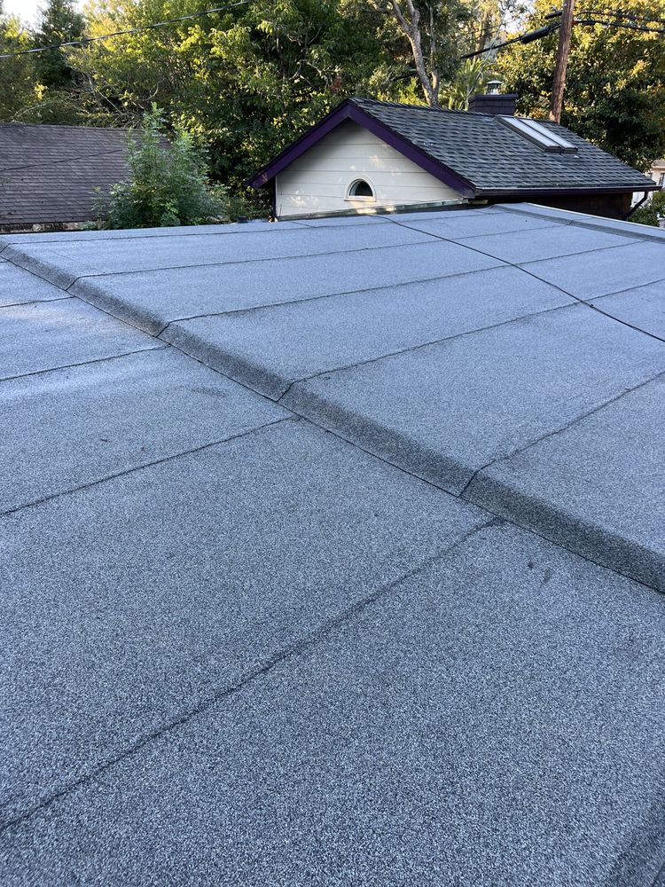 Slide of Project Roofing