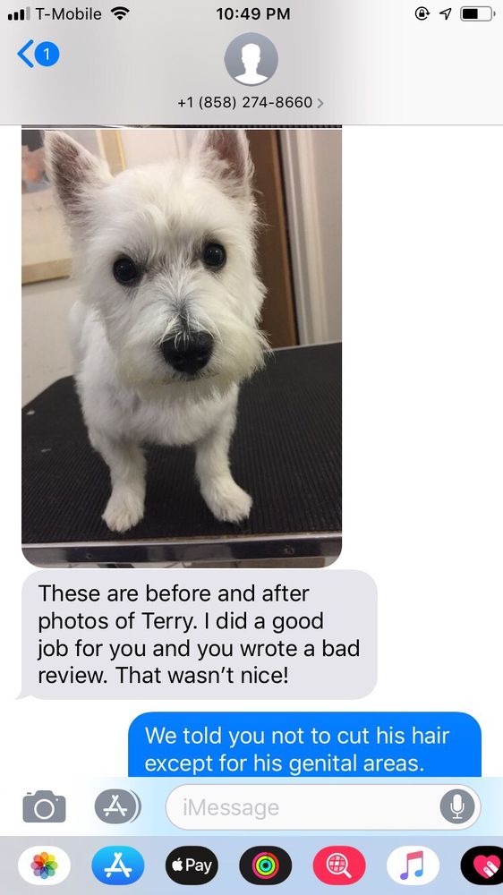 THE EXOTIC POOCH 73 Photos & 28 Reviews 4605 Cass St, San Diego, CA