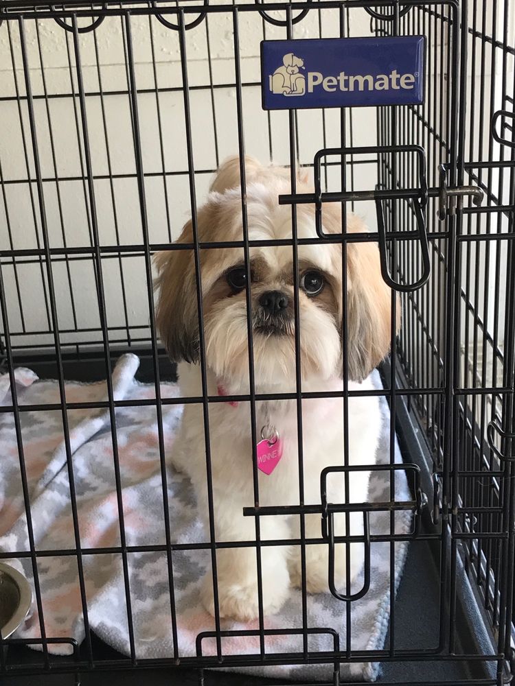 MIKE N KARLA’S DOGGIE STYLEZ GROOMING Updated September 2024 13