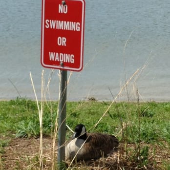 Mount Trashmore Park - Parks Near Me - Virginia Beach, Virginia