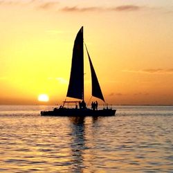 Caribbean Watersports & Enviro-Tours - Sunset Champagne Cruises