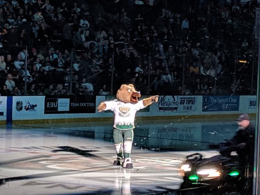 EVERETT SILVERTIPS - 40 Photos & 34 Reviews - Professional Sports Teams ...