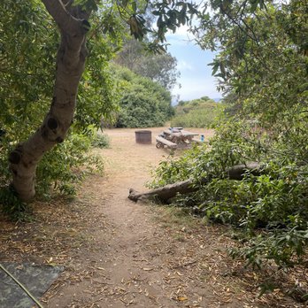 Manresa Uplands Campground - Campsite 30 - Campgrounds Near Me - Watsonville, California