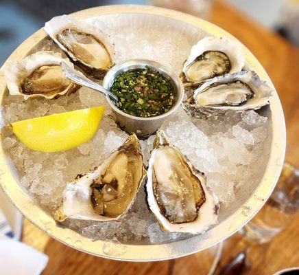 Hog Island Larkspur by null