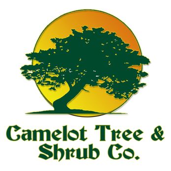 Camelot Tree & Shrub Co - Tree Services Near Me - Roseville, Michigan Camelot Tree & Shrub Co - Tree Services Near Me - Roseville, Michigan