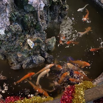 Crystal Buffet Hibachi & Grill - Buffets Near Me - Melbourne, Florida
