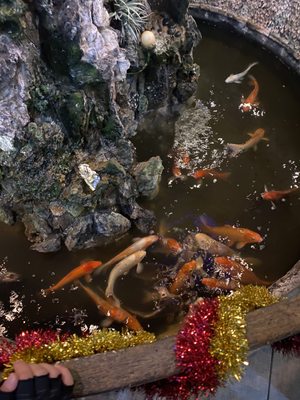Crystal Buffet Hibachi & Grill by null