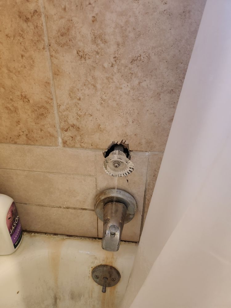 Slide of Twan the Plumber