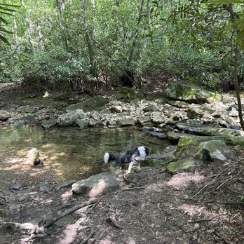 Devil's Bathtub & Waterfall - Many beautiful spots along the way. - Hiking Near Me - Fort Blackmore, Virginia Devil's Bathtub & Waterfall - Many beautiful spots along the way. - Hiking Near Me - Fort Blackmore, Virginia