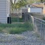 Photo of Pro Rainbow Landscaping