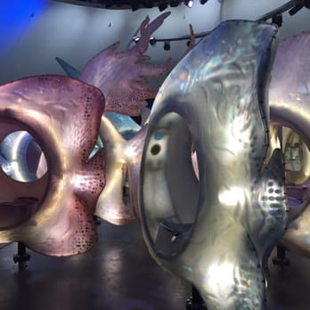 SeaGlass Carousel - Fishes - Carousels Near Me - New York, New York