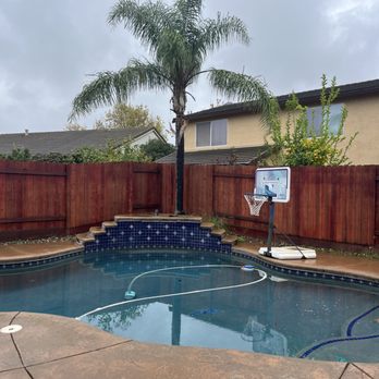 Palm Tree Men - Single tree near pool, that was creating mess for the pool - Tree Services Near Me Palm Tree Men - Single tree near pool, that was creating mess for the pool - Tree Services Near Me