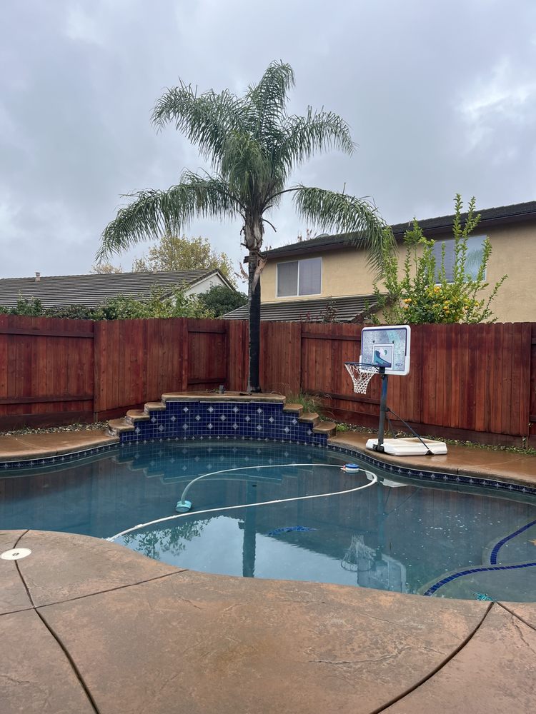 Palm Tree Men - tree service in Sacramento, CA