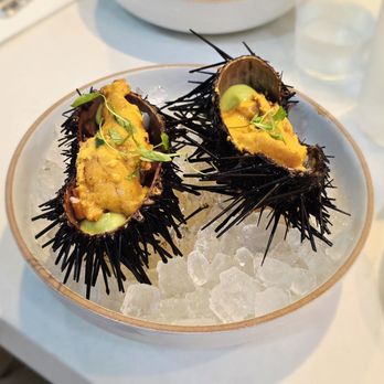 Holbox - Uni Ceviche! Love the presentation! - Latin American Near Me - Los Angeles, California Holbox - Uni Ceviche! Love the presentation! - Latin American Near Me - Los Angeles, California
