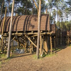 Hafencamp Senftenberger See - Baumhäuser im Hafencamp