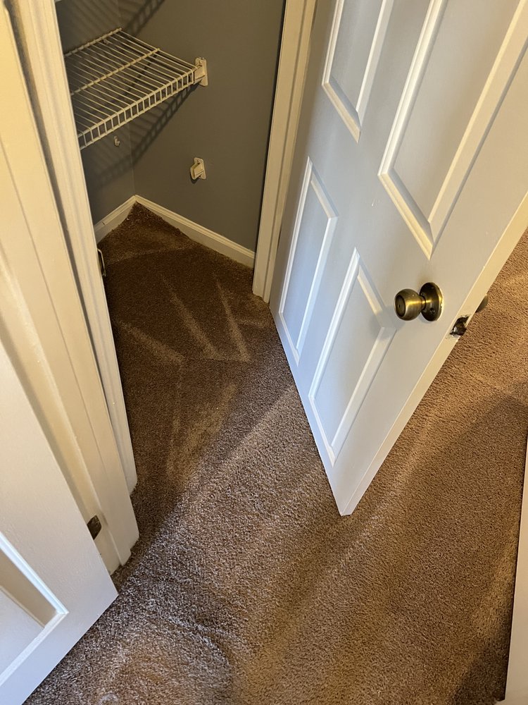 QUALITY AFFORDABLE CARPET CLEANING Updated September 2024 105