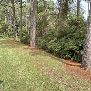 Southern Rooted Lawns - Lawn Services Near Me - Mobile, Alabama