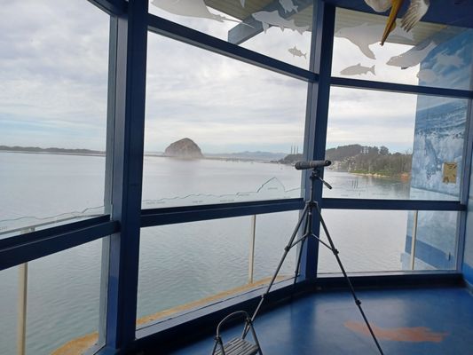 Museum of Natural History by null