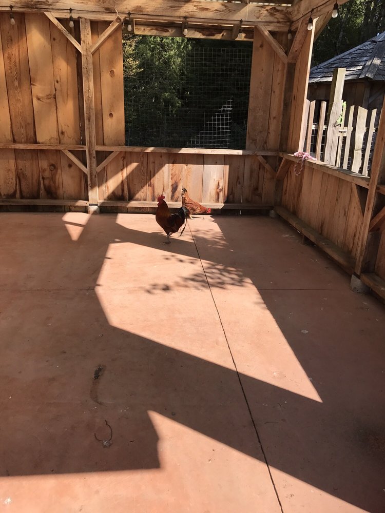 DARWIN’S CAFE Updated August 2024 15 Photos 1084 Pacific Rim