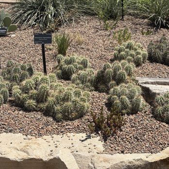 Denver Botanic Gardens - Botanical Gardens Near Me - Denver, Colorado Denver Botanic Gardens - Botanical Gardens Near Me - Denver, Colorado