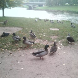 Jiráskovy sady