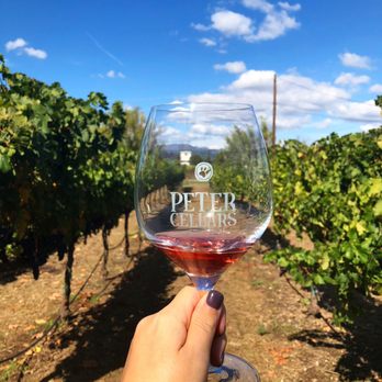 Peter Cellars - Wine Tasting Room Near Me - Sonoma, California